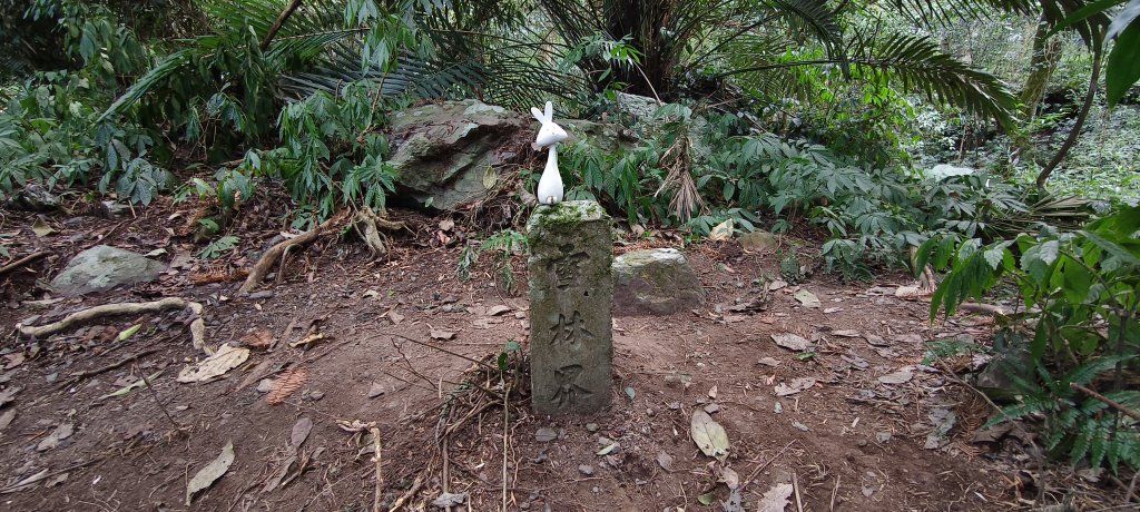 2026/01/01_雪山坑環線步道O型_2978095