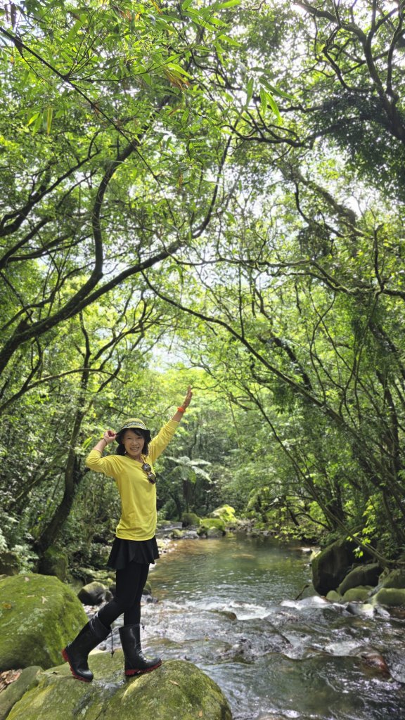 陽明山秘境，涼爽水圳步道，鹿堀坪古道，富士坪古道，夏日戲水與溯溪天堂，首選鹿堀坪（頭前溪）瀑布。封面圖
