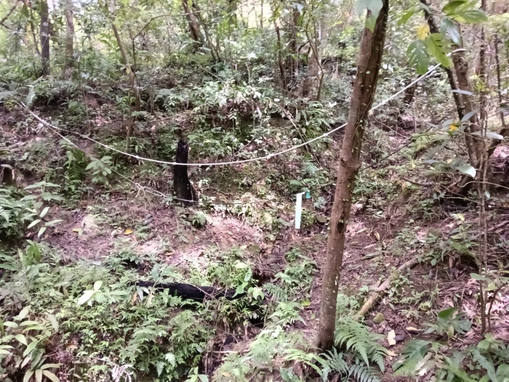 平溪區平溪子山遇雷雨O型_2850094