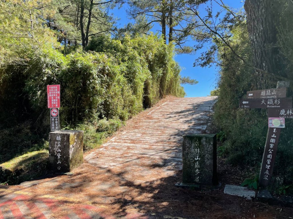 麟趾山 鹿林山_1931806