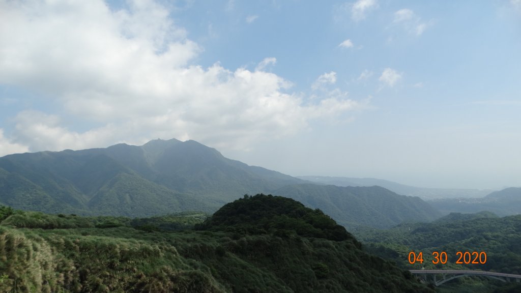 陽明山賞蝶趣_940608