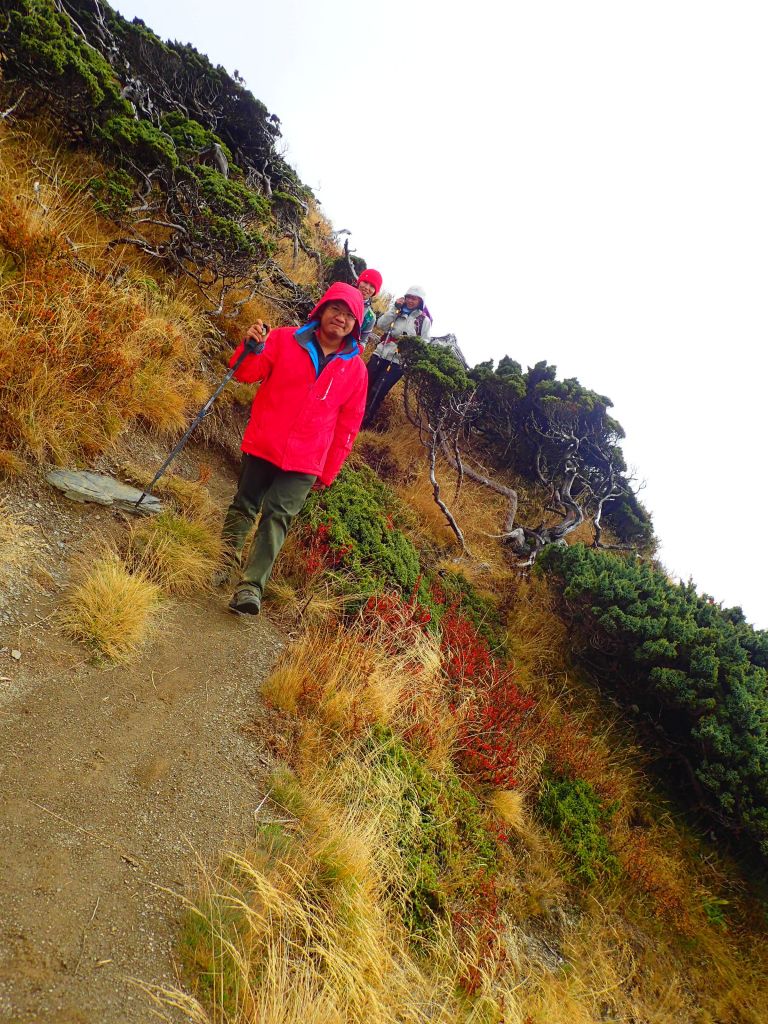 北一段 南湖前四峰_377998