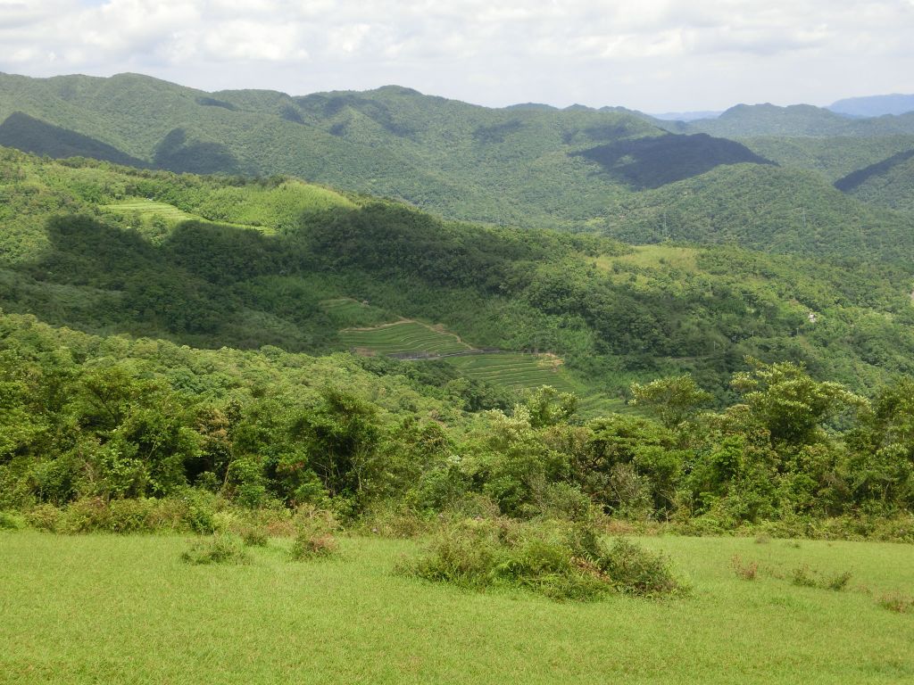 桃源谷．灣坑頭山步道_141020