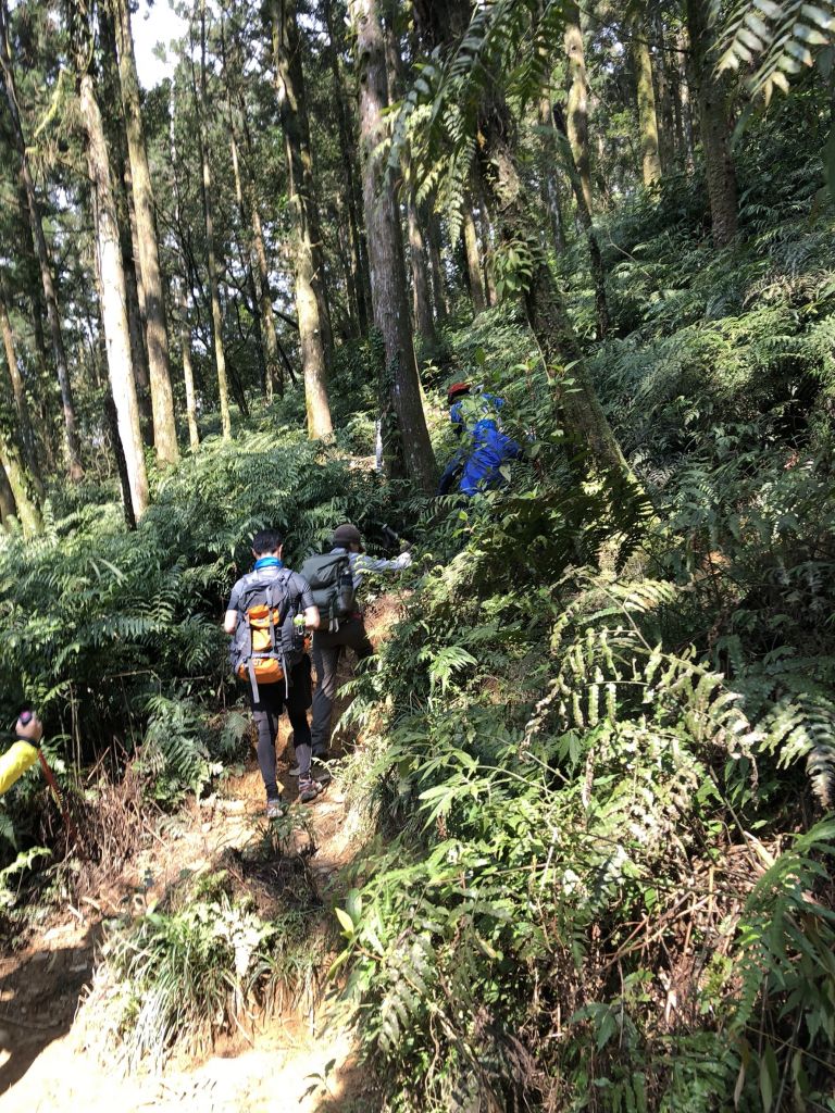 2018.03.14 松蘿湖我來了~_291076