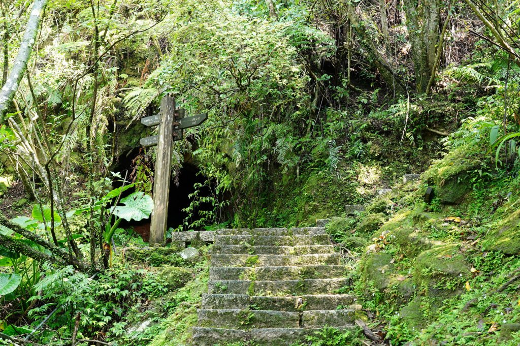 新北 平溪 薯榔尖、石筍尖、魔神仔洞_2772544