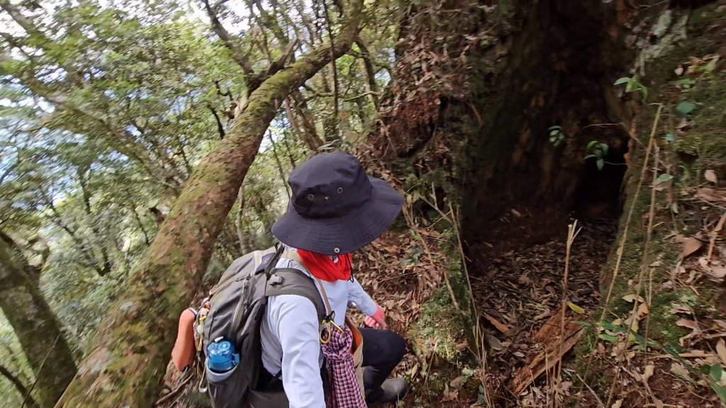 復興三尖之夫婦山_2356767