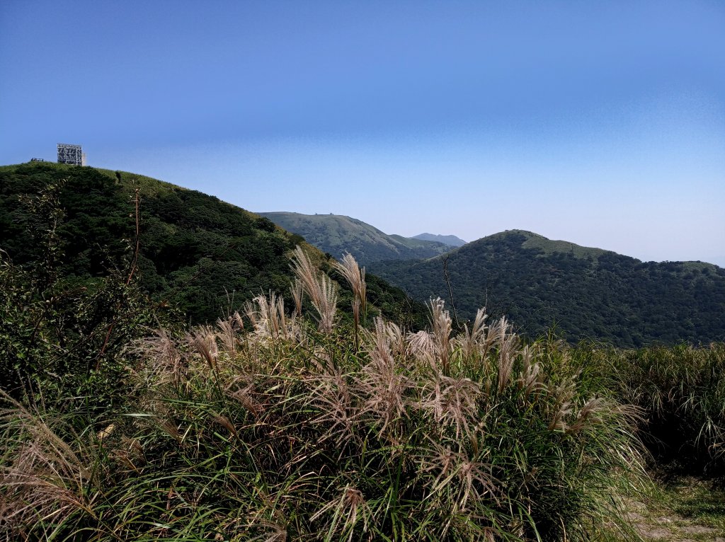 大屯主峰秋芒_418271