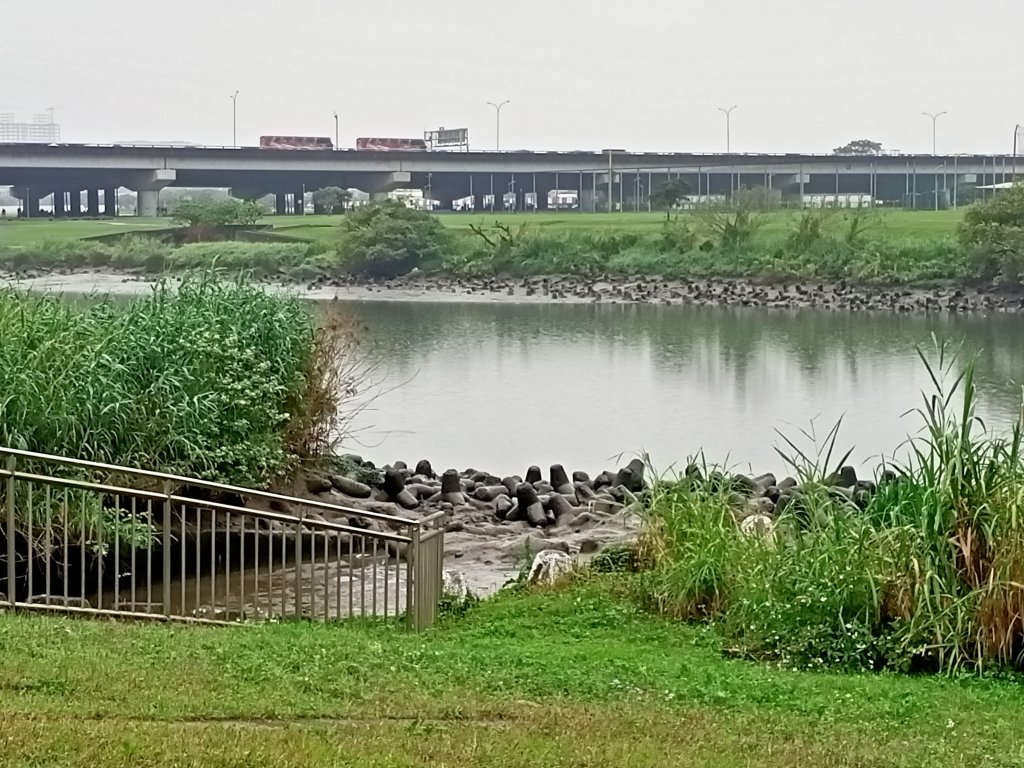 基隆河右岸尋花問草封面圖