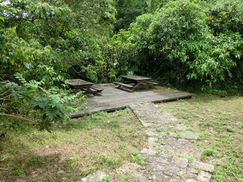 仁山植物園_393229