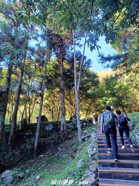 【台中和平】2022「谷關七雄，慢旅台中」登山活動認證。 沒有危崖攀爬就是一路陡。 谷關七雄~八仙山_1827491