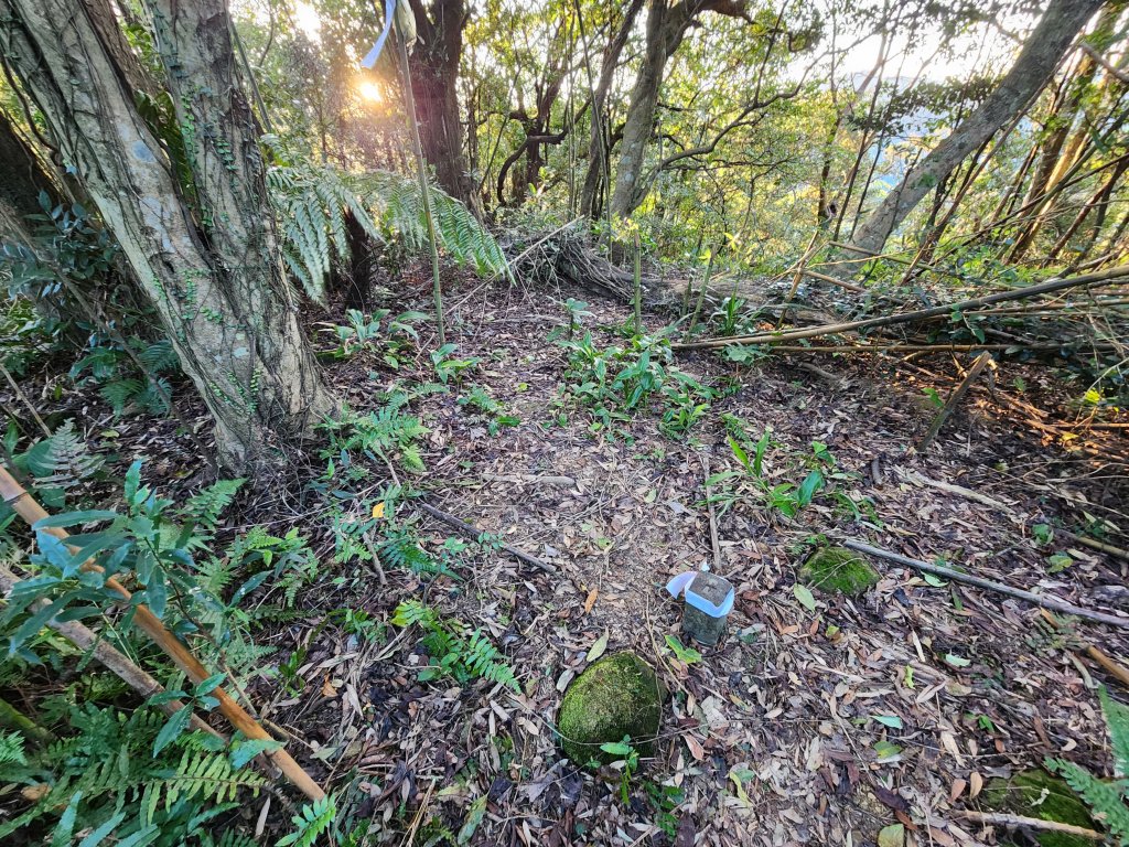20240114指南宮站經猴山岳二格山鵝角格山至貓空站_2430777