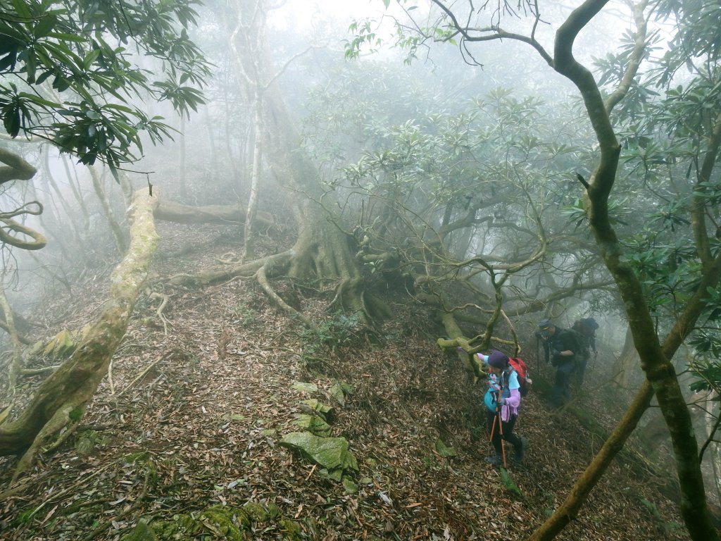 日湯真山+西大武山20200403_904064