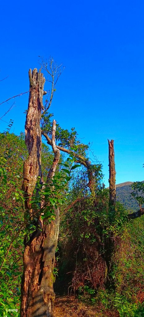 磺嘴山 112.01.14_1994012