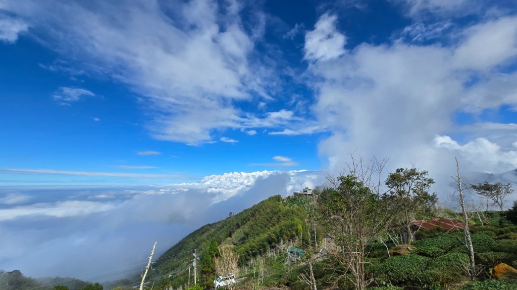 溪頭五連峰O繞（大崙頭／樟空倫／貓冬望／志騰／竹崙）_2652393