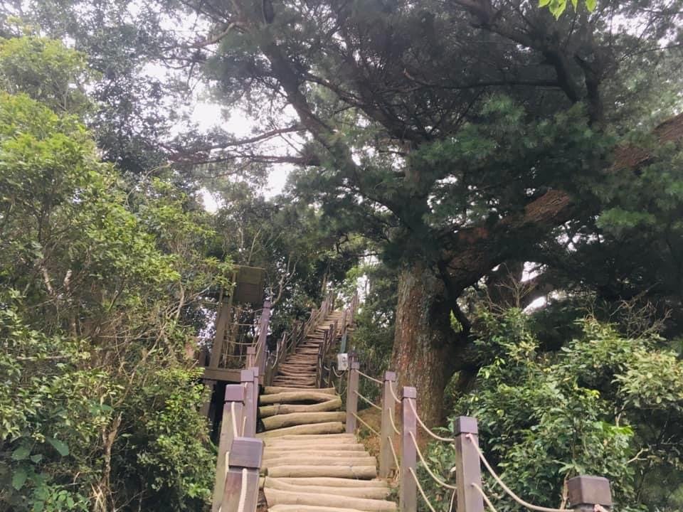 大坑風景區4上3-1下O型走_1924876