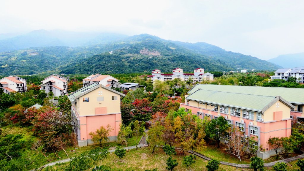 台東大學_3015145