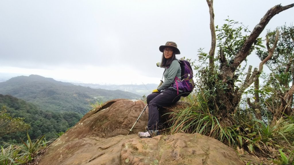 筆架連峰1131124_2653250