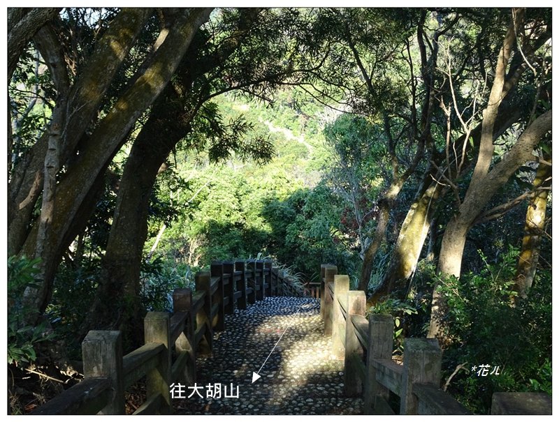 豐原萬里長城登山步道、寮水山連走_2535624