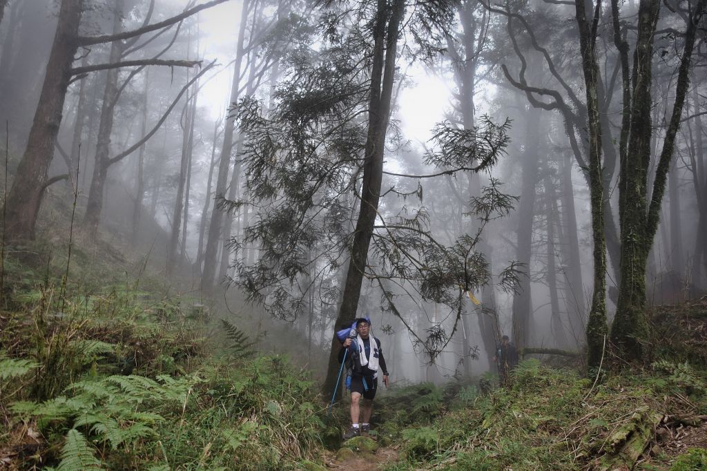 水漾森林。鹿屈山O型2018.04.04_307390