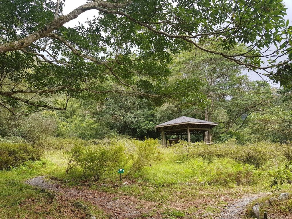 福山植物園_198417