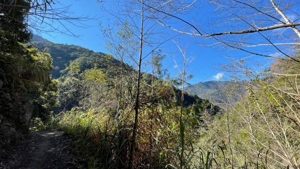 新竹｜尖石 霞喀羅國家步道_1636329