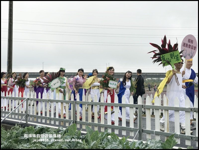 2019桃園仙草花節。紫色浪漫席捲楊梅_752256
