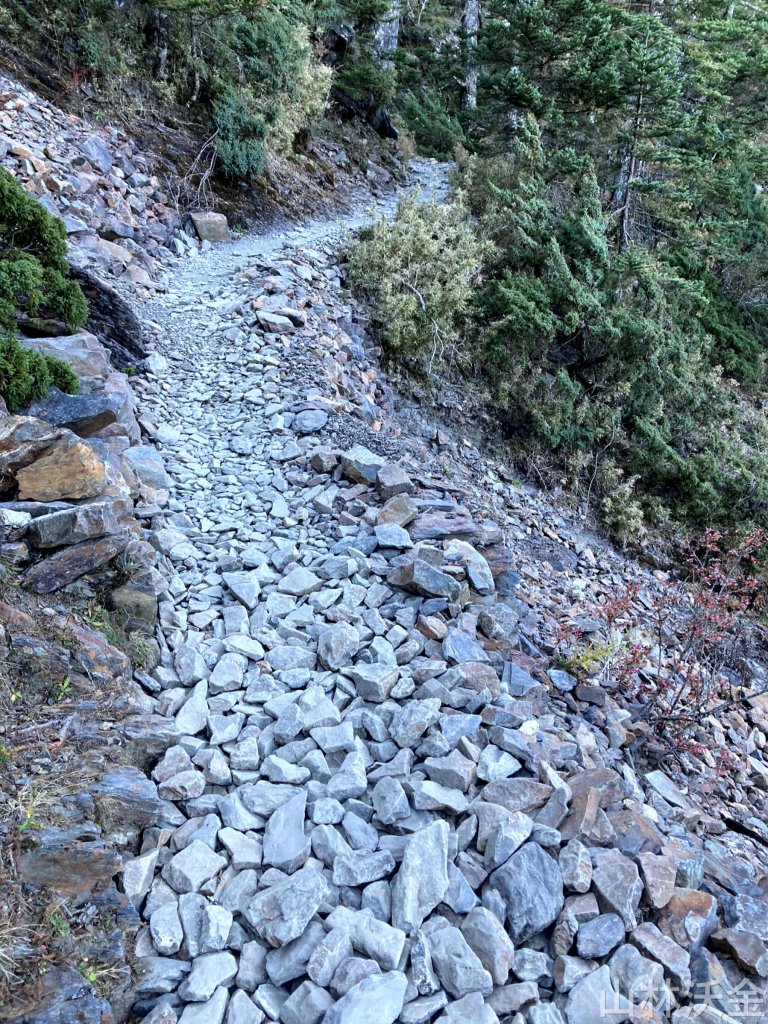 2023-11-27 玉山主峰_2365012