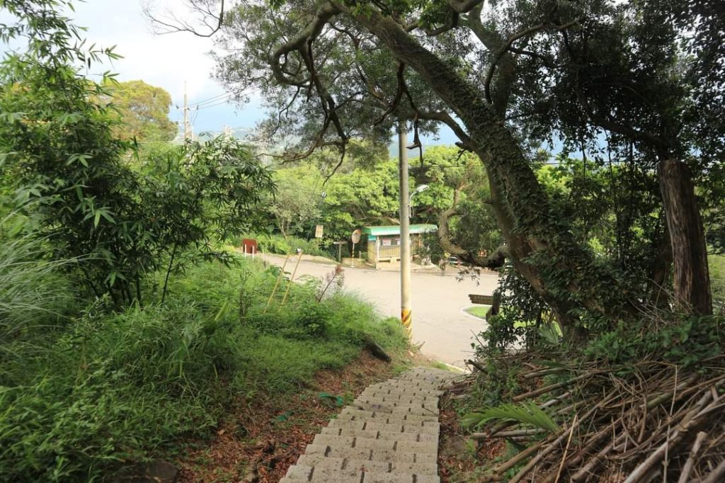 〔北投〕永春寮環狀步道-上清宮，清代種植鳳梨  並建有住宅的 鳳梨宅聚落，兩百餘年粗坑老茄苳樹_2224974