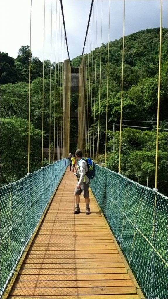 南投竹山瑞龍瀑布步道20190721_635887