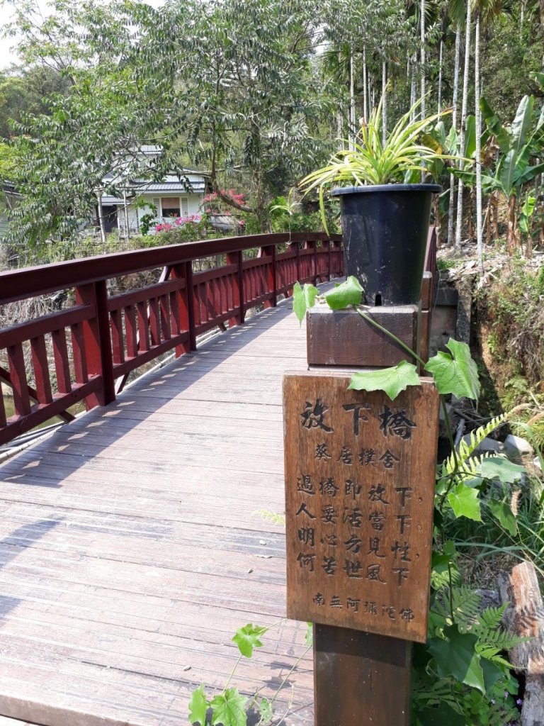 南投魚池澀水生態步道20190409_563512