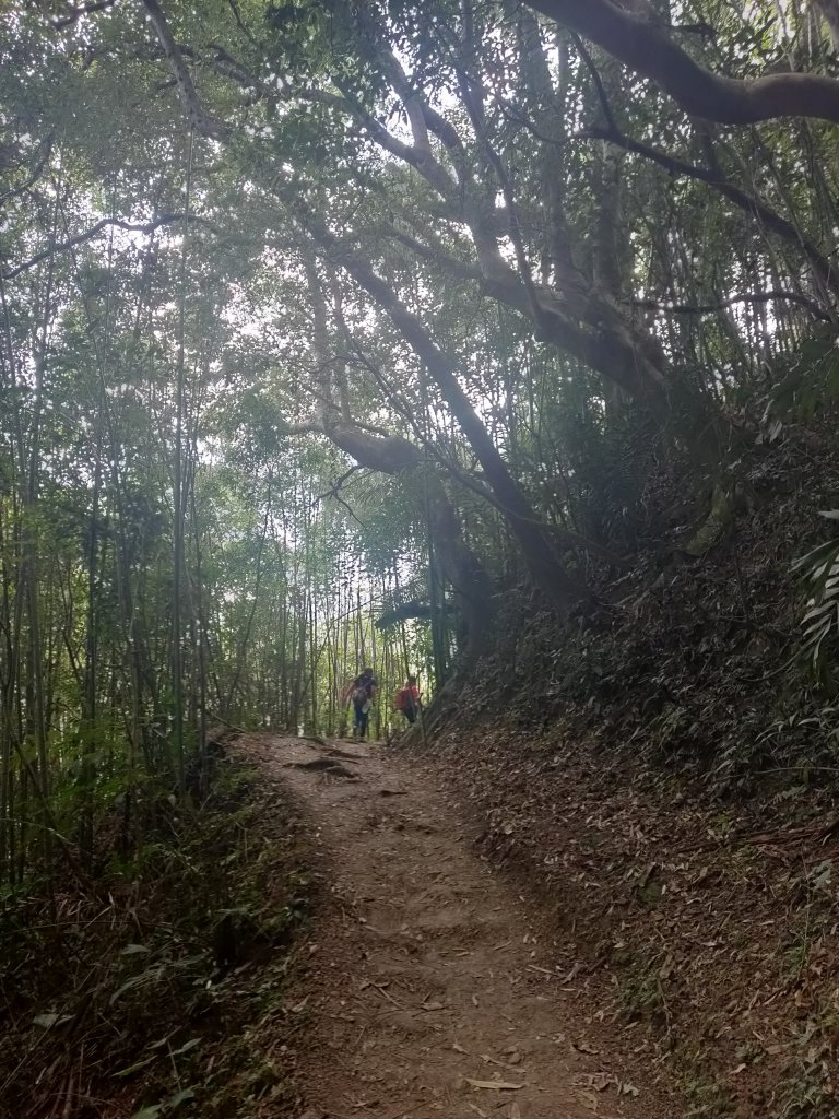 馬胎古道_1774212