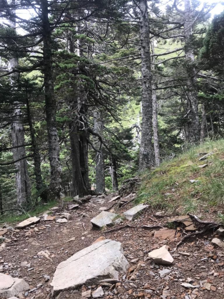 雪山主峰東峰單攻_379177