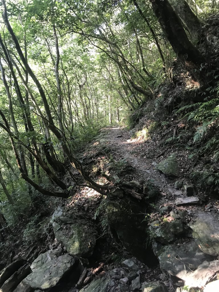 哈盆古道-波露南山-波露山O型走_1475865