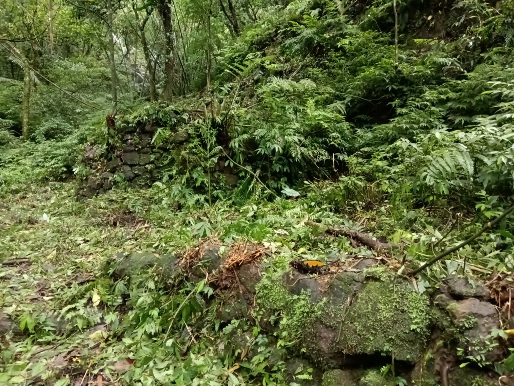 平溪區三功大厝+番子坑山+千階嶺步道O型_2781120