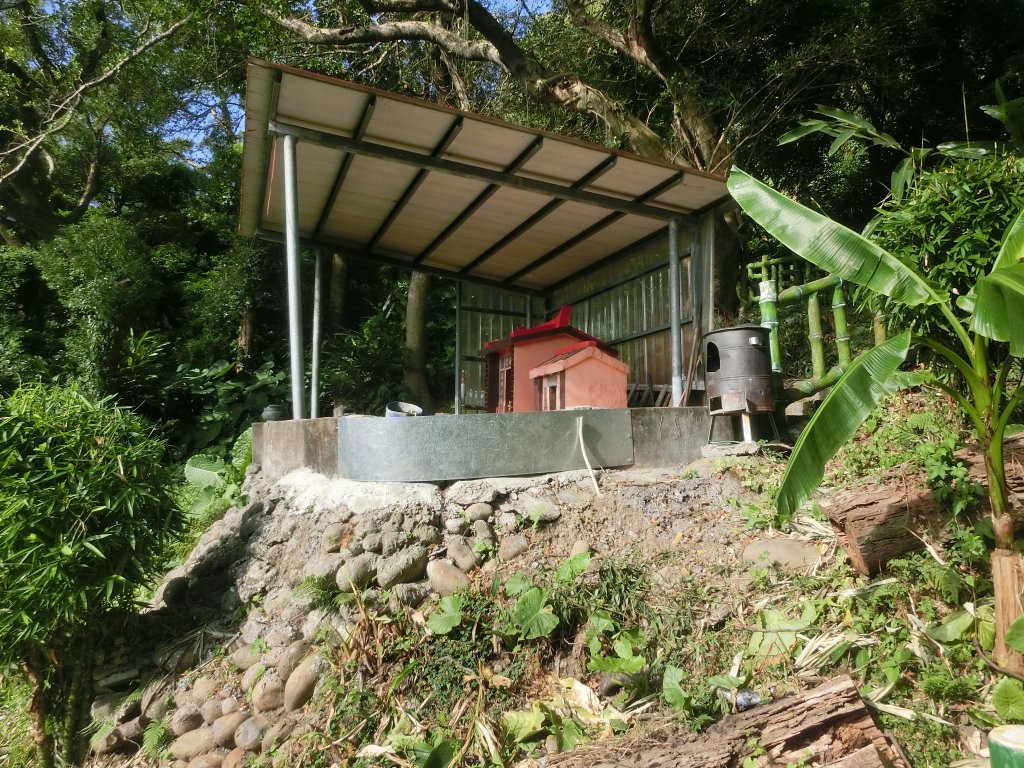 大溪訪古．花彩節_733336