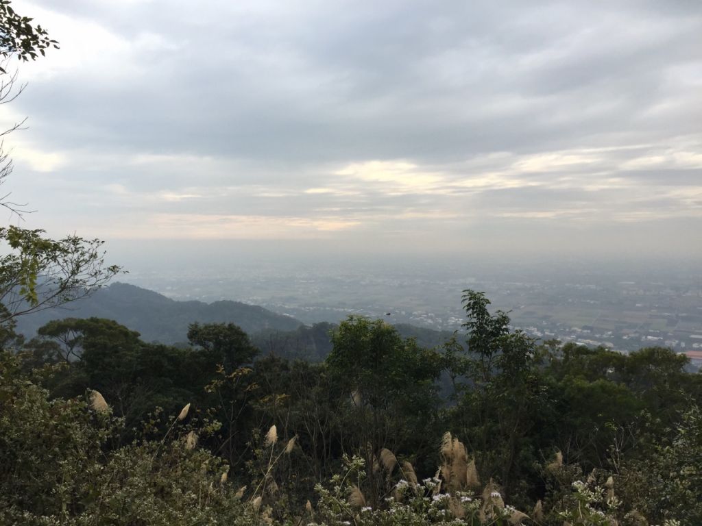 橫山（八卦山脈最高點）_299877