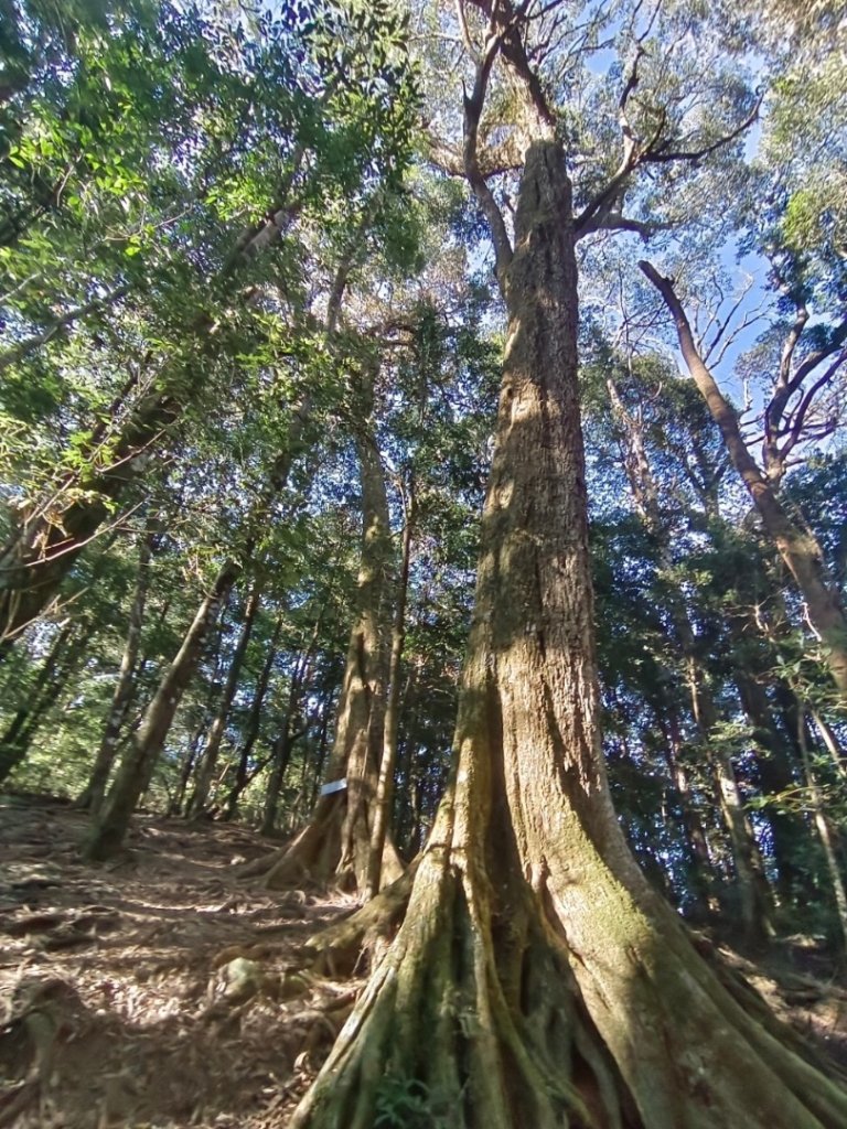鳶嘴西稜上鳶嘴山-醜崠三崠山連走_2656865