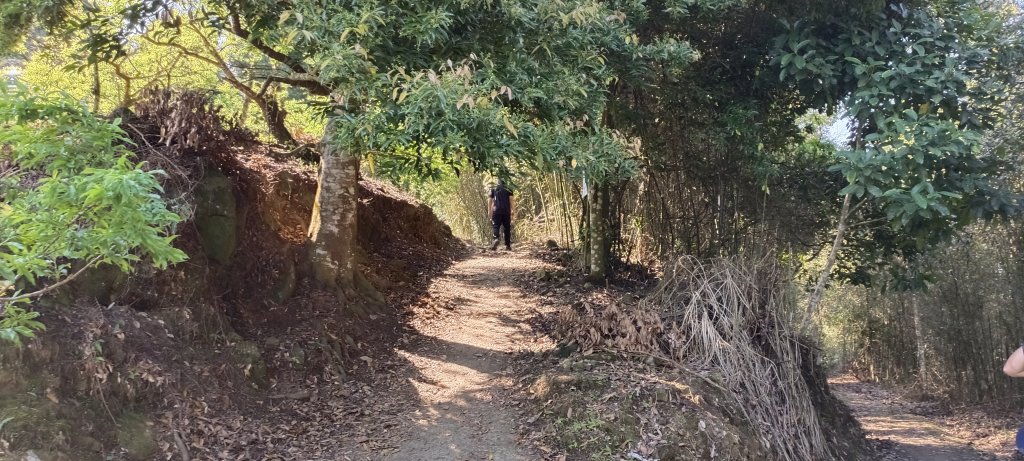 20220312_馬那邦山 細道邦山南峰 細道邦山_1637049