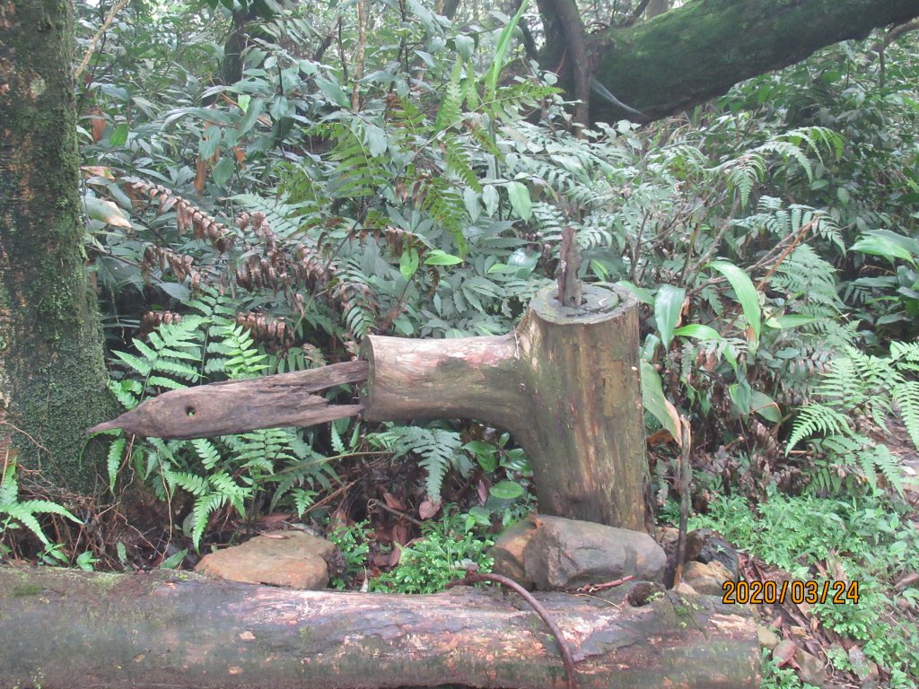 姜子寮步道_904623