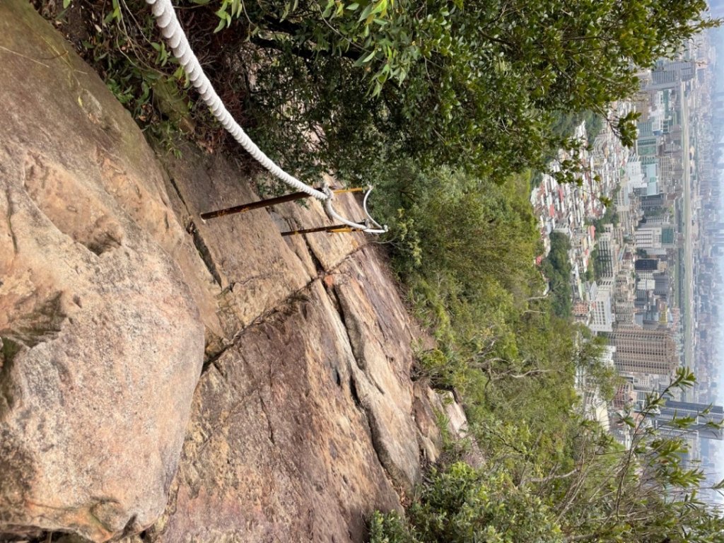 2021/11/13 金面山_1518181