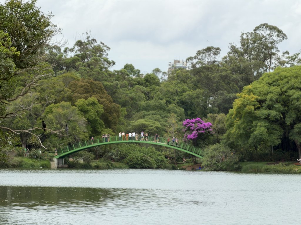 [紐約馬之行-68] 2025_1116 伊比拉布埃拉公園-中_2955158