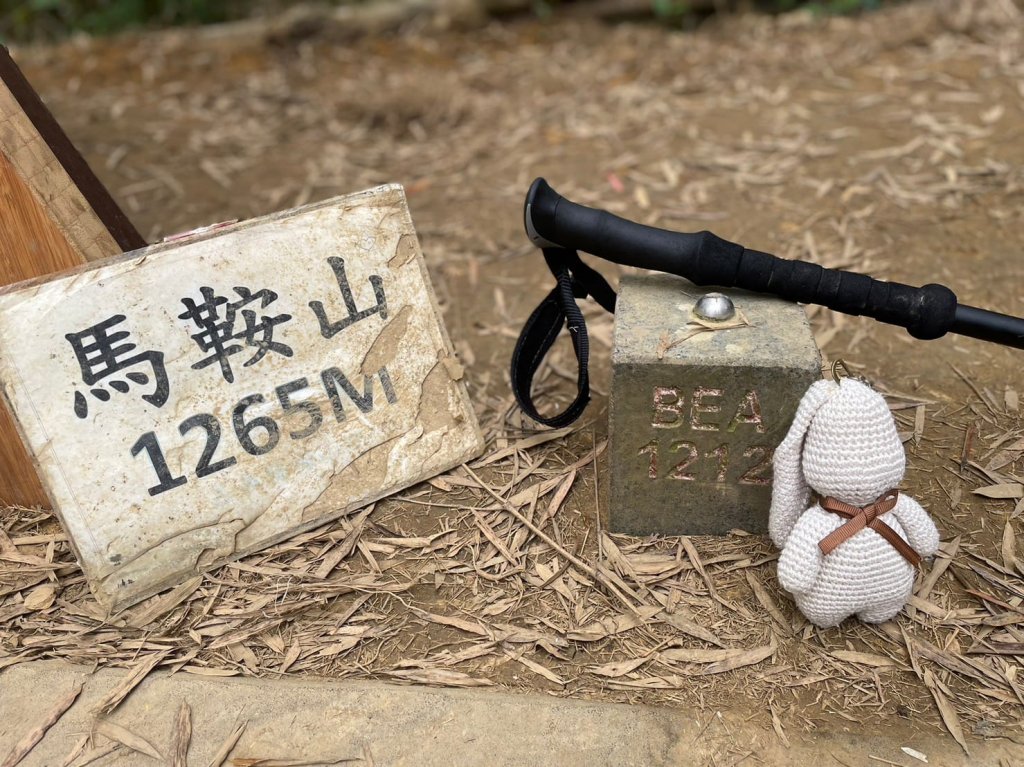 230416-小百岳#057 梨子腳山。18禁-竟能在茶樹上偶遇黑線黃尺蛾。美美兔O繞走成8字。_2117344