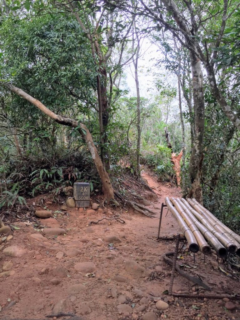 2020-1-27火炎山南鞍O型_877679