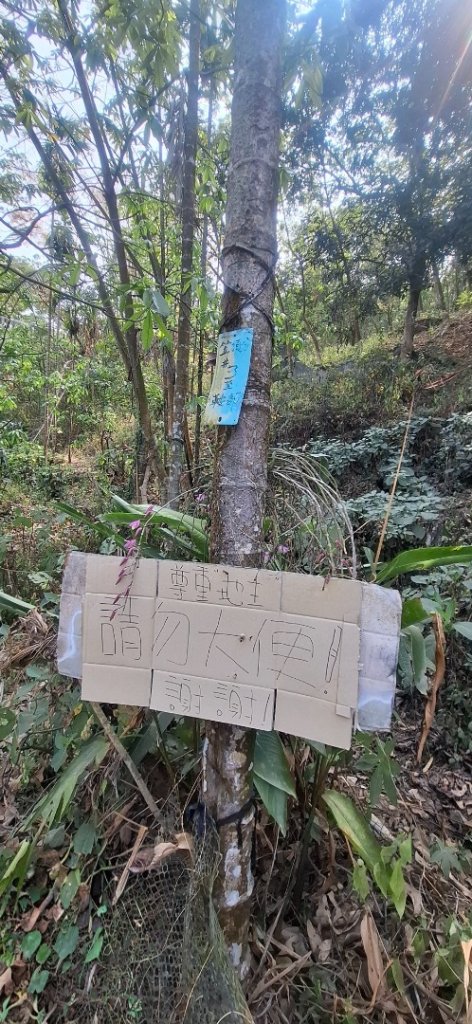 笠頂山封面圖