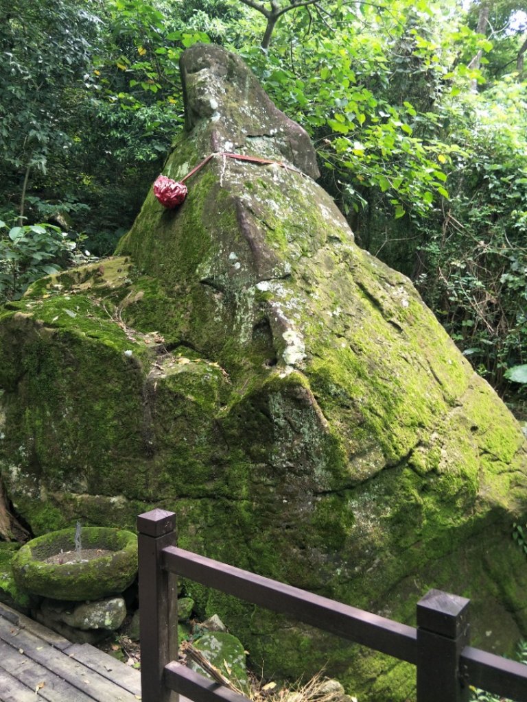 龍麟山步道_1462768