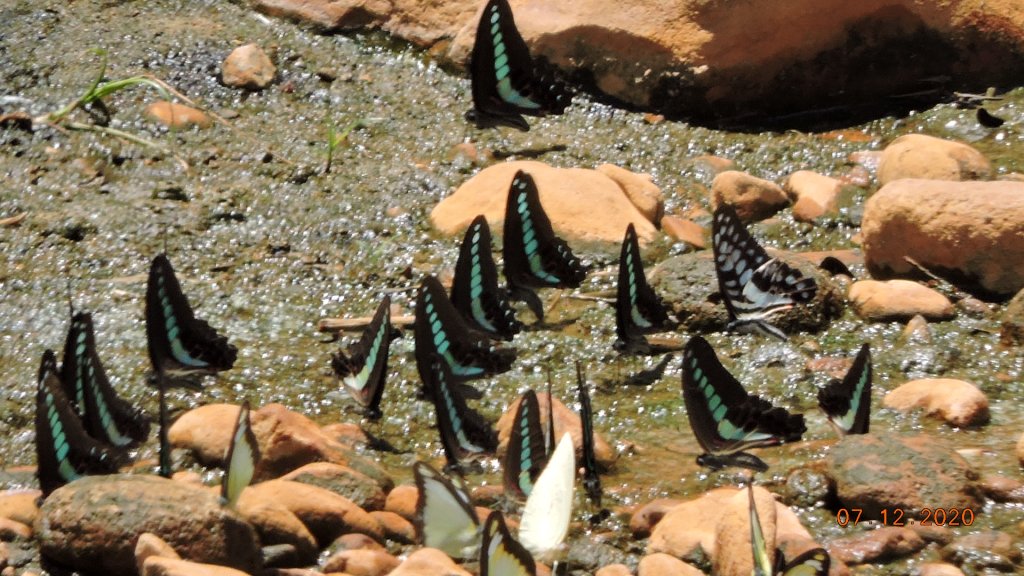 就是喜歡這個藍天白雲的FU_1030360
