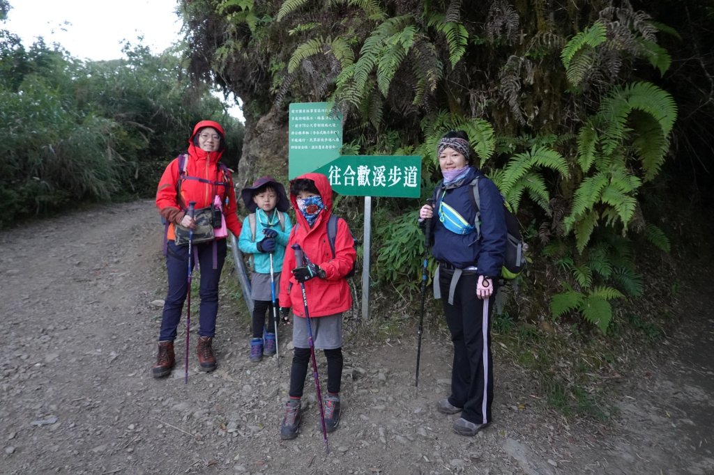 阿興阿賢合歡溪步道上合歡西峰_1491154