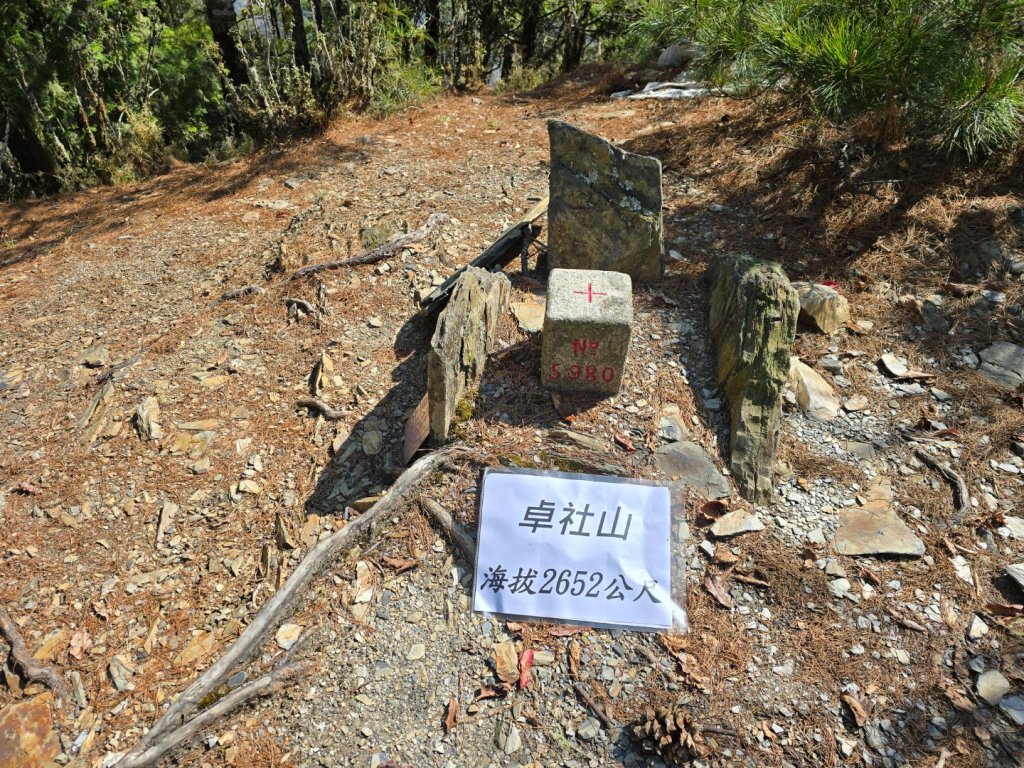 卓社大山〔武界栗栖溪登山口起登〕_2748426