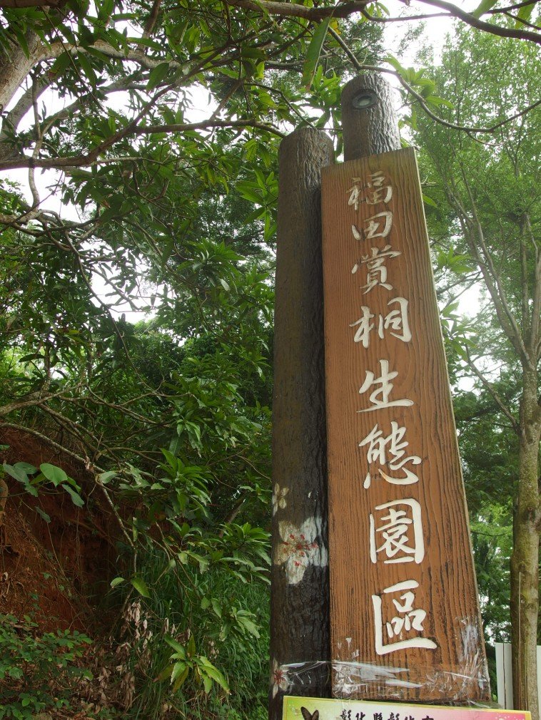 福田賞桐生態園區_555169