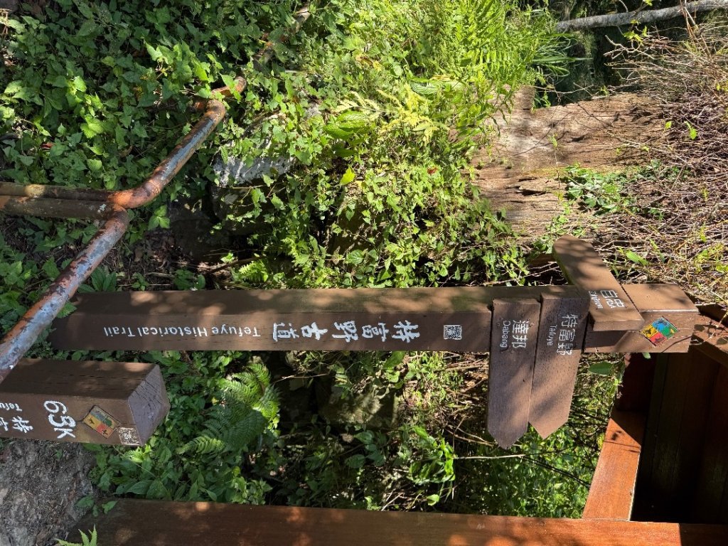 1141122特富野古道_2945788